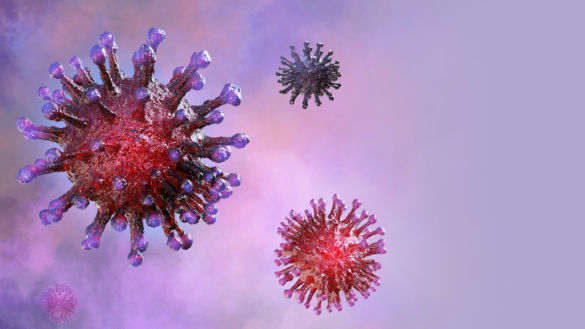 Infektioner & Vacciner