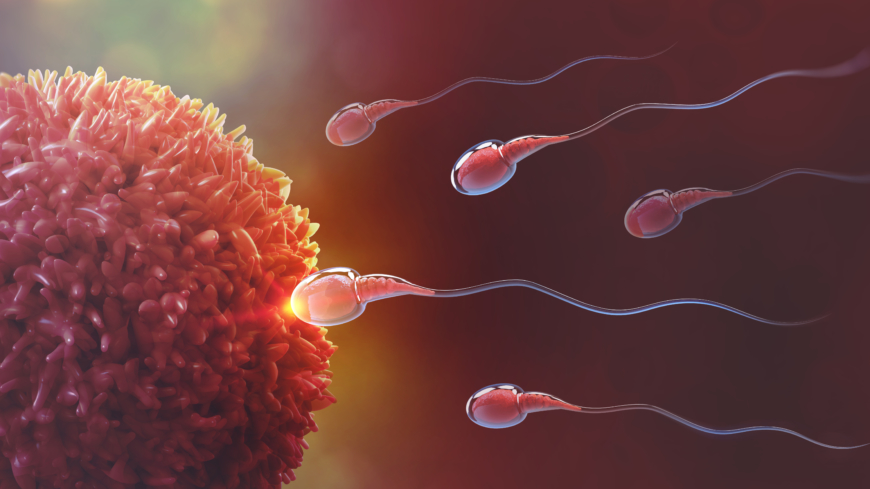 Ibland är det något som sätter stopp för befruktningen och då kan Fertilitetskliniken med dess specialister inom området hjälpa dig. Foto: Shutterstock