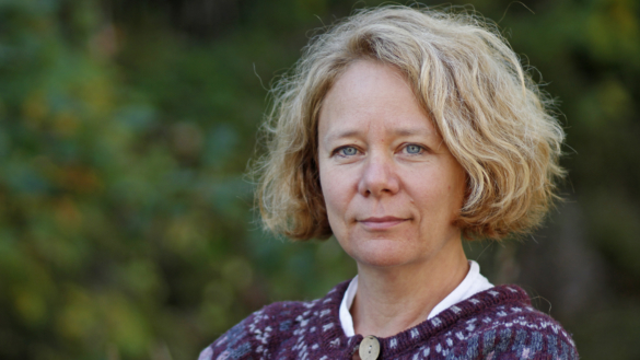 Plana blodsockerkurvor nytt mål för typ 1-diabetes