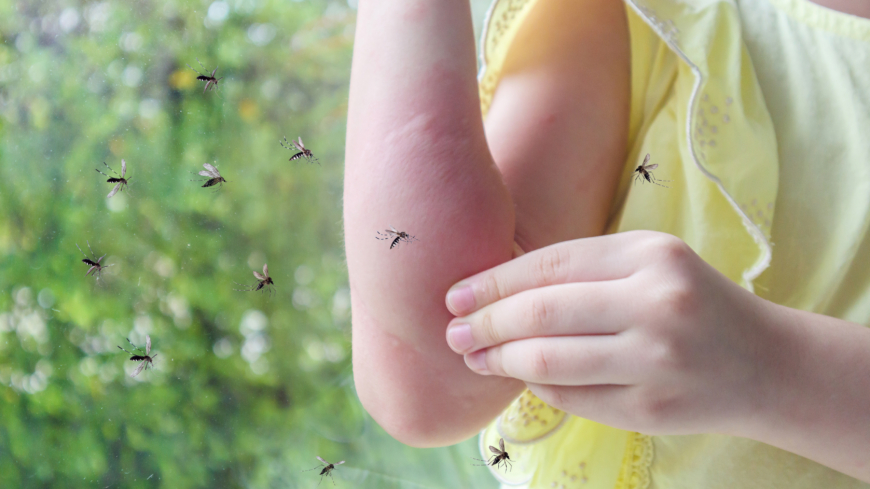 Klä dig i långärmat och vitt om du vill undvika mygg- och getingbett.  Foto: Getty Images