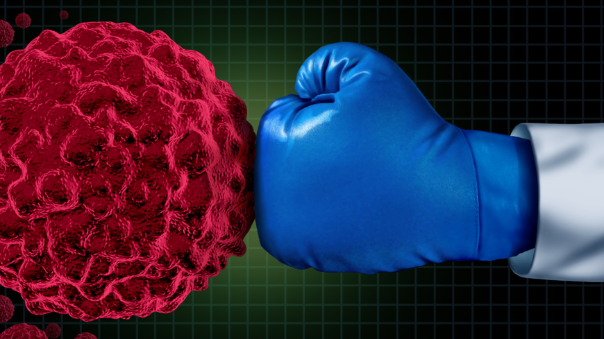 Immunterapi stärker vårt egna immunförsvar så att det klarar av att ta hand om cancercellerna på ett mer effektivt sätt. Foto: Shutterstock.