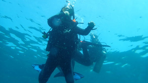 Dykarsjuka (tryckfallssjuka): orsak, symtom & behandling