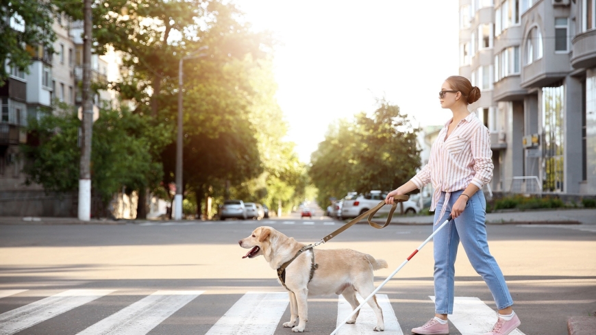Vita käppen och ledarhund är två exempel på vanliga hjälpmedel för blinda personer. Foto: Shutterstock