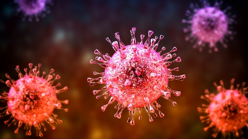 Illustration av cytomegalovirus. Foto: Shutterstock