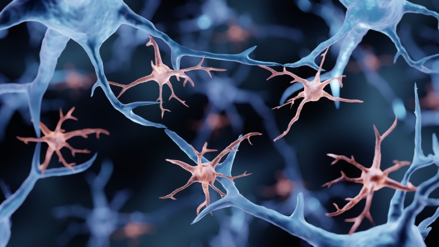 Infektioner I hjärnan och ryggmärgen i tonåren ökar risken för att drabbas av MS med 180 procent. Foto: Shutterstock