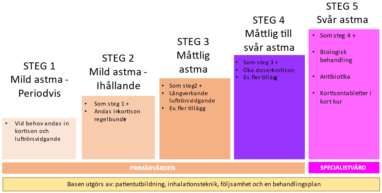 Behandling vid astma