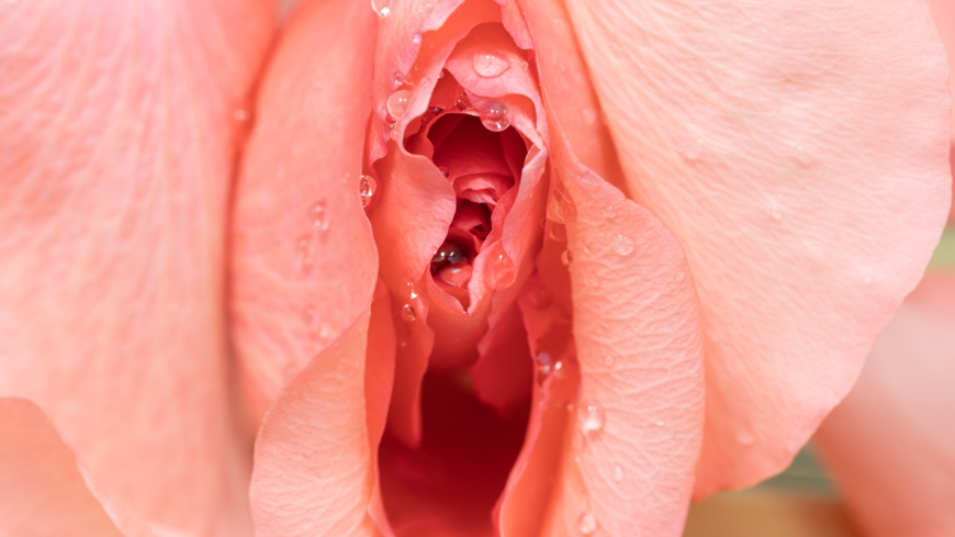 Torra slemhinnor kan behandlas och lindras med lokalt östrogen eller fuktgivare.  Foto: Shutterstock
