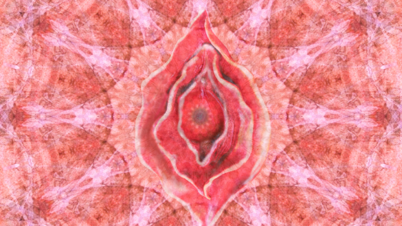 Så tar du bäst hand om din vulva