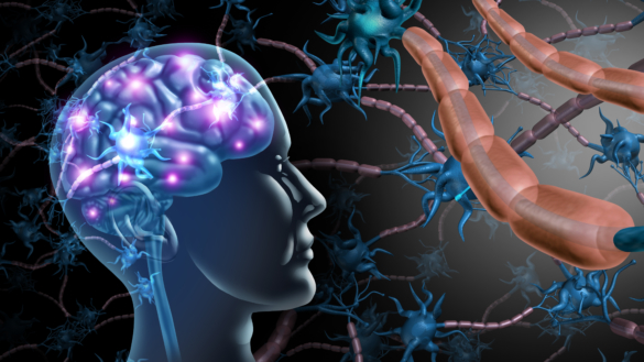 Neurometabola sjukdomar: orsak, symtom & behandling