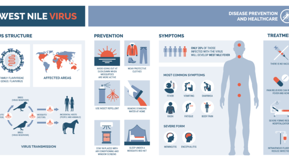 West Nile-virus: orsak, symptom & behandling
