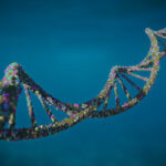 Nobelpriset i fysiologi eller medicin 2024: En banbrytande upptäckt inom genreglering