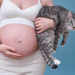 Toxoplasmainfektion (toxoplasmos): orsak, symtom & behandling