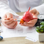 Från topp till tå: Prostata