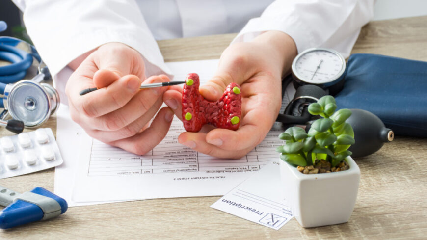 Hypoparatyreoidism – symtom, orsak & behandling