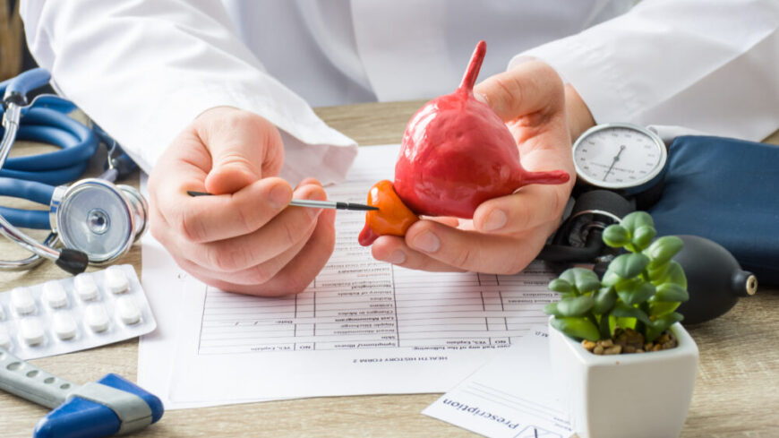 Prostatan är en viktig del av mannens fortplantningssystem och kan påverkas av tillstånd som förstorad prostata, prostatit och prostatacancer. Foto: Getty Images