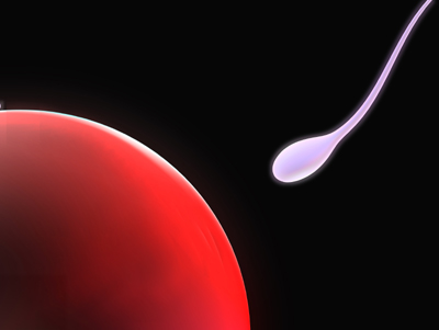 Äggets förtjänst att spermier inte blir för gamla