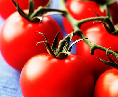 Växtrikets flavonoider påverkar kroppens eget cannabis