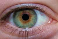 Torra ögon? – Extra hyaluronsyra hjälper!