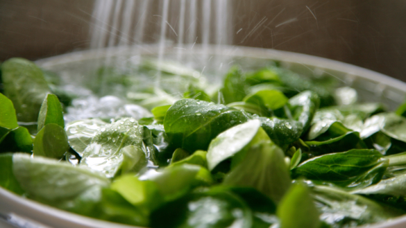 Inspirerande nyttig grönsallad i sommarvärmen