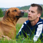 Diskbråck kan behandlas lika för herre som hund