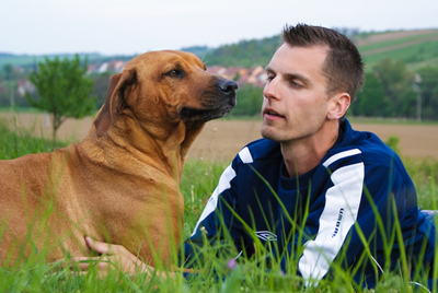 Studien visar många likheter mellan hund och människa när det gäller förslitn... Foto: Shutterstock