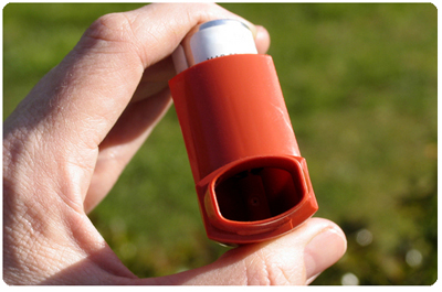 Astma är en inflammatorisk luftvägssjukdom. Foto: Shutterstock