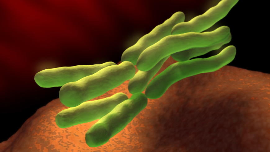 Nyttiga bakterier – probiotikans historia