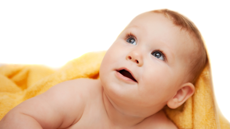  Foto: Shutterstock