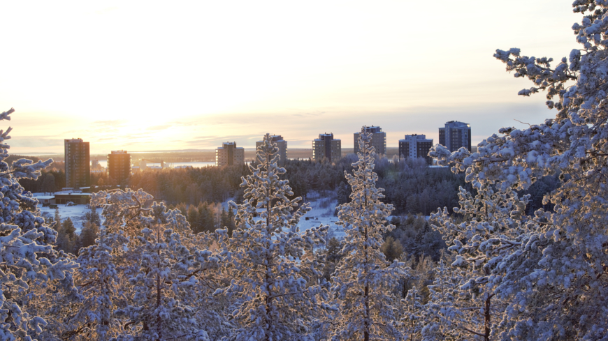 Forskare har genomfört en studie av trender i hälsoutvecklingen för grupper med olika inkomst och utbildning i norra Sverige. Foto: Shutterstock