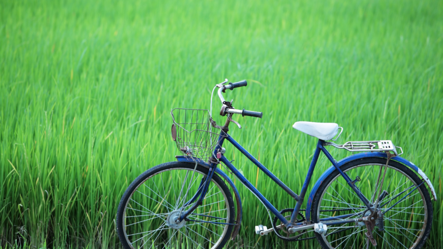 Mia’s krönika: Min cykel och jag