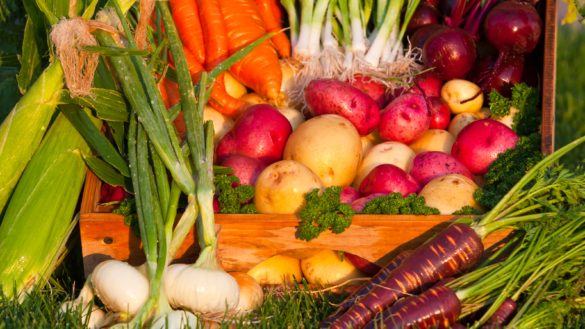 Grönsaksfibrer ger maten ny karaktär