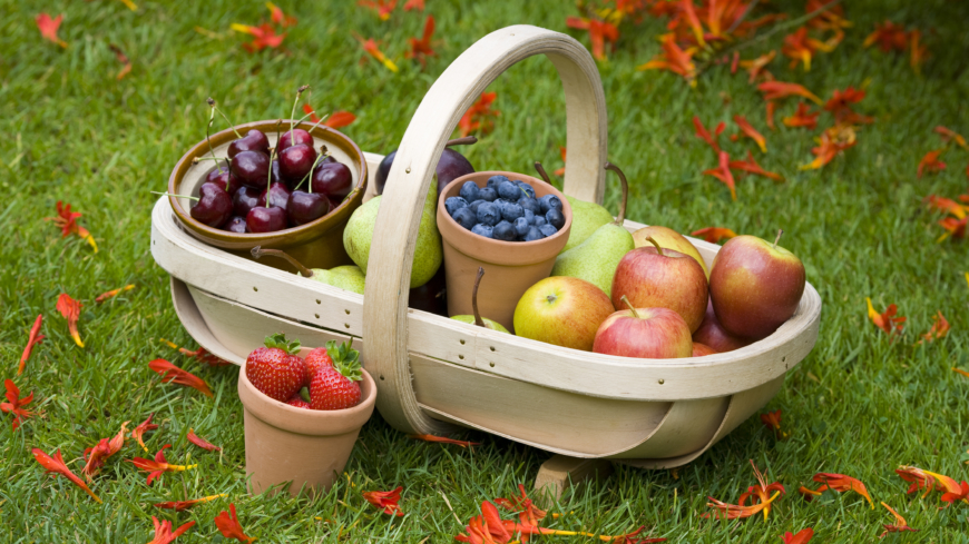 Vissa, hela, frukter kan minska risken för diabetes typ-2. Foto: Shutterstock