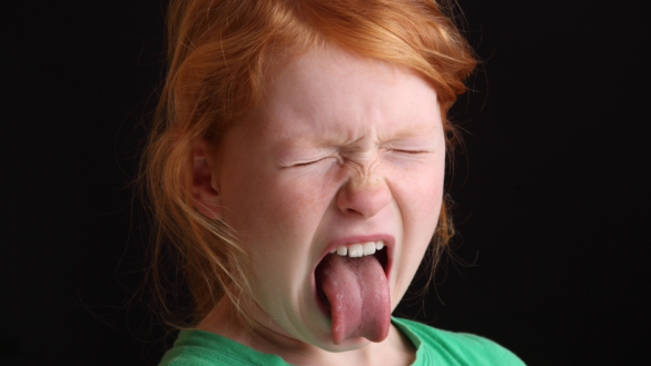 Rynka inte på näsan – den är mer smart än känslig