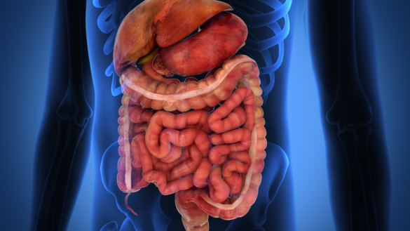 Blod i avföringen – orsaker och utredning