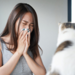 Allergi mot katt: orsak, symtom & behandling