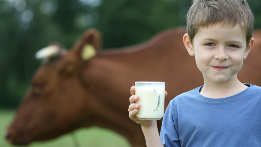 I studien vägde barn som dagligen drack standardmjölk i genomsnitt strax över fyra kilo mindre. Foto: Shutterstock