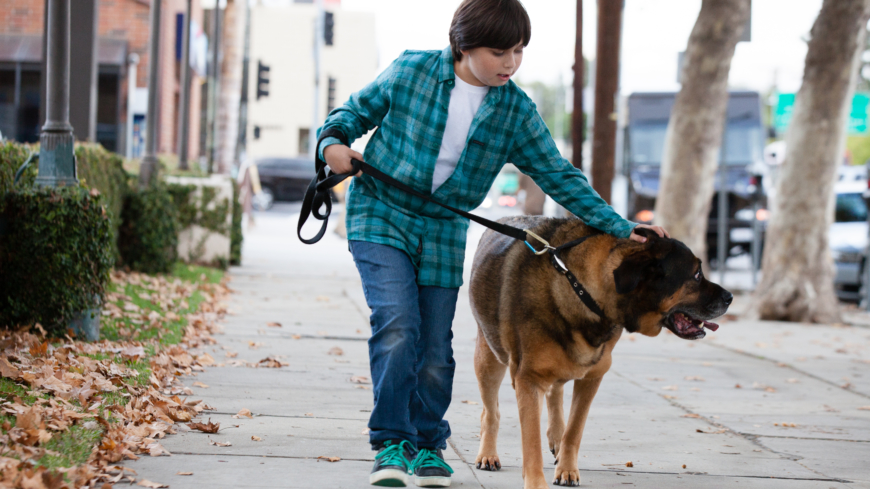 Barn bör göra något aktivt istället för att titta på tv, för att inte riskera att bli soffpotatisar som vuxna. Foto: Shutterstock