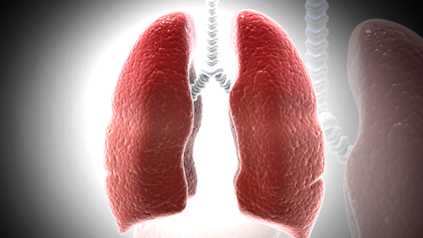 Sarkoidos är en infflammation som oftast drabbar lungorna. Foto: Shutterstock