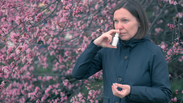 Många pollenallergiker oroliga – viktigt med medicinering i tid