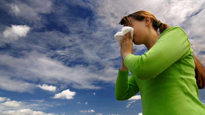 Lär dig allt du behöver veta om allergi och astma