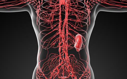 Lymfkörtelcancer är cancer i en eller flera lymfkörtlar som beror på skadade vita blodkroppar. Foto: Shutterstock