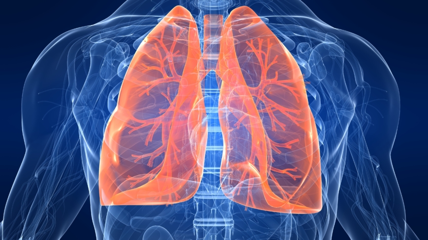 Diagnosen lungfibros ställs genom ”detektivarbete” och uteslutningsmetoden.  Foto: Shutterstock