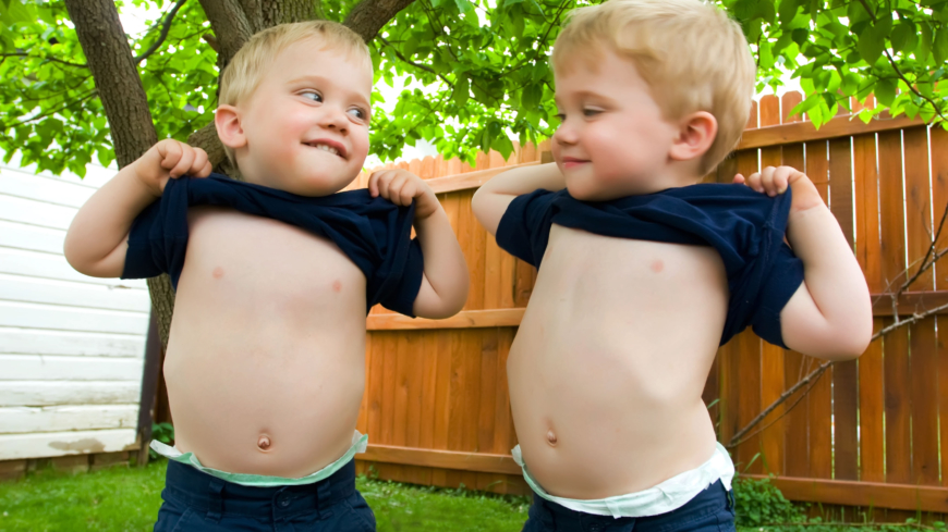  Foto: Shutterstock