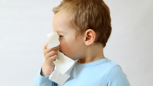 Nu är det förkylt!