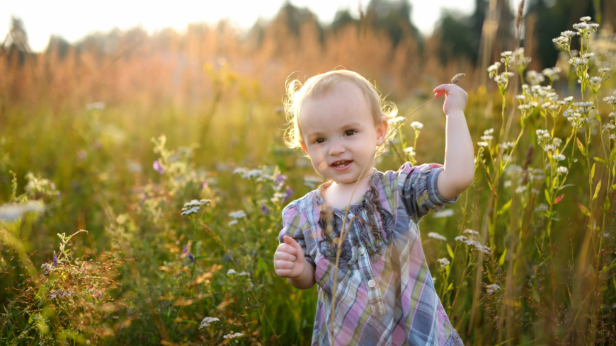 Smittskyddsinstitutet rekommenderar TBE-vaccination från ett års ålder. Foto: Shutterstock