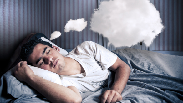 Vad gör hjärnan när vi sover?
