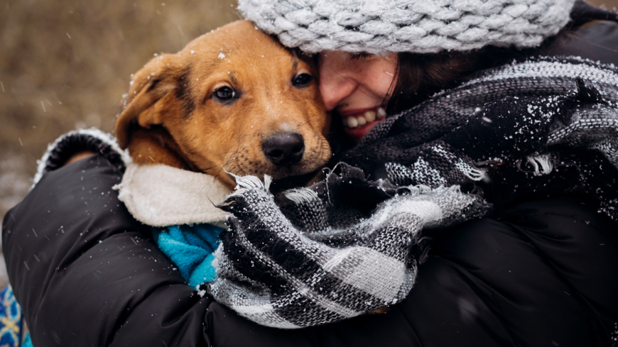 I ensamhushåll noterades lägre risk för hjärtinfarkt och stroke hos hundägarna. Foto: Shutterstock