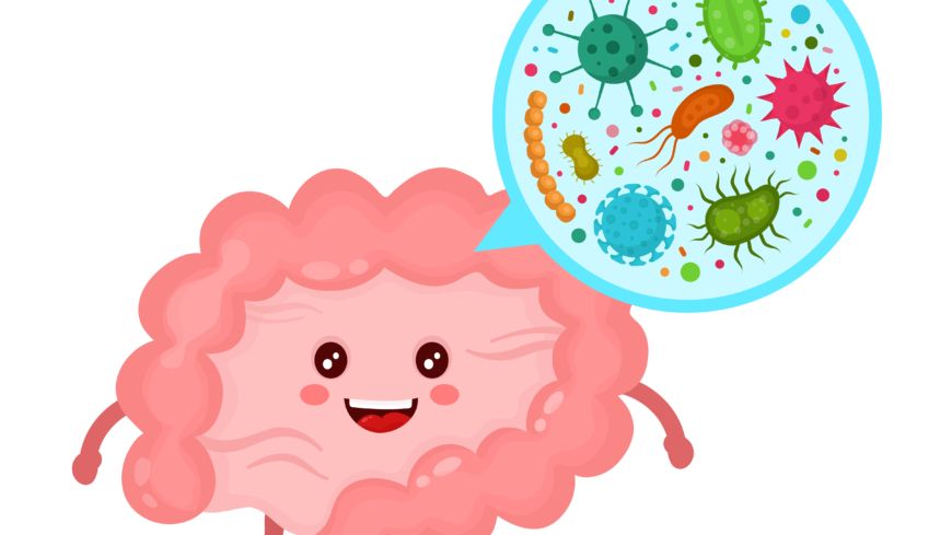 Studie visar att vår individuella mix av organismer i tarmen kan ge ledtrådar för att förutse diabetes typ 2. Foto: Shutterstock