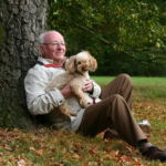 Laser kan bota hjärnsjukdomar