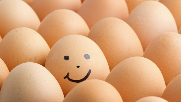 Vitamin D – för hälsans skull